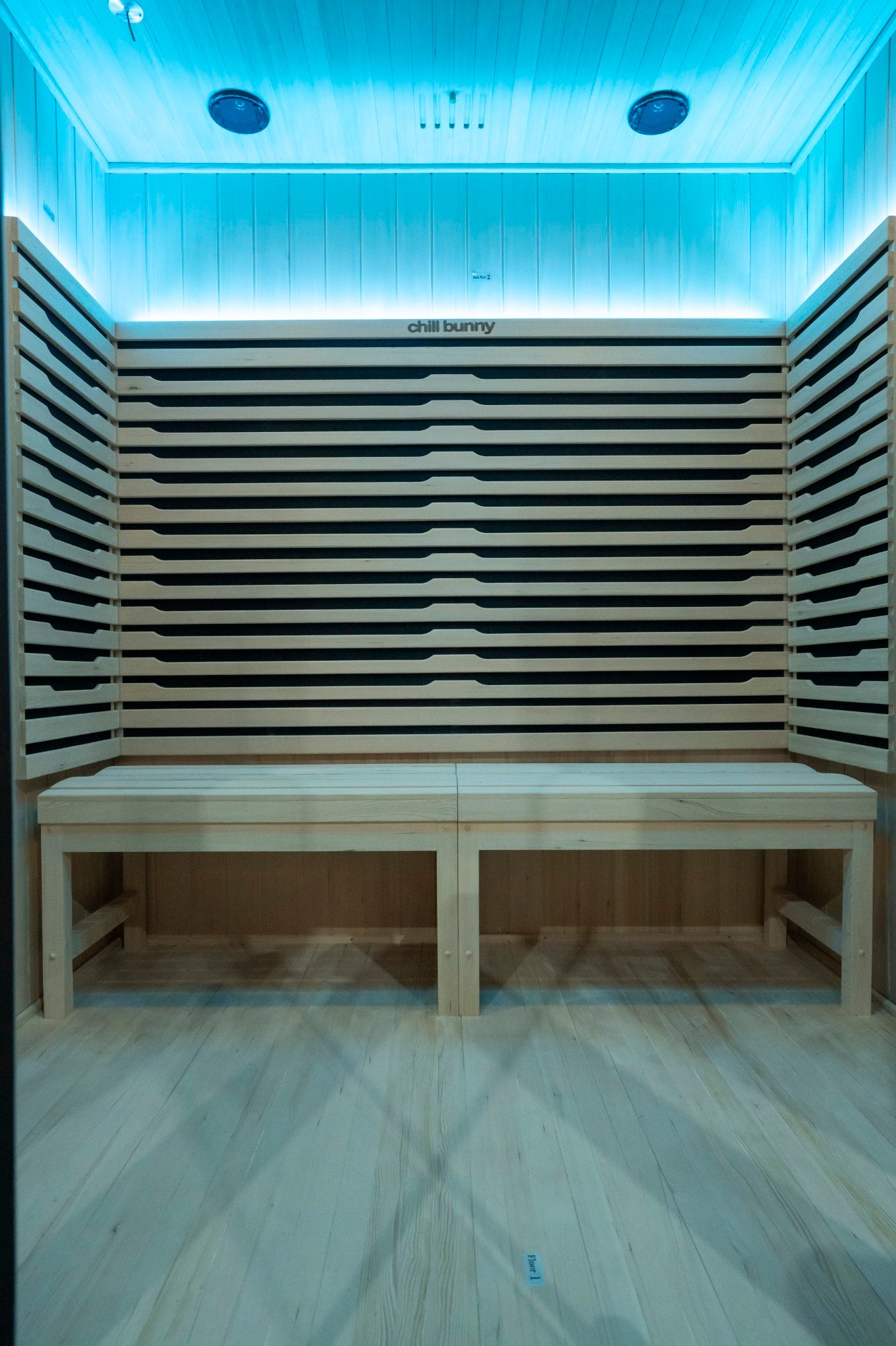 3P Indoor Infrared Sauna